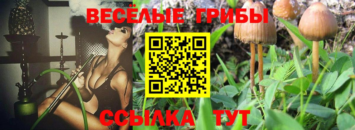 Галлюциногенные грибы Psilocybe  Вход с VPN  Топки  Галлюциногенные грибы ЛСД 