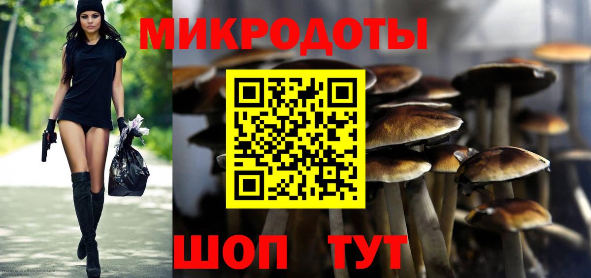 Псилоцибиновые грибы мицелий Топки